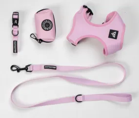 Doggy 4 Piece walking set - Pink