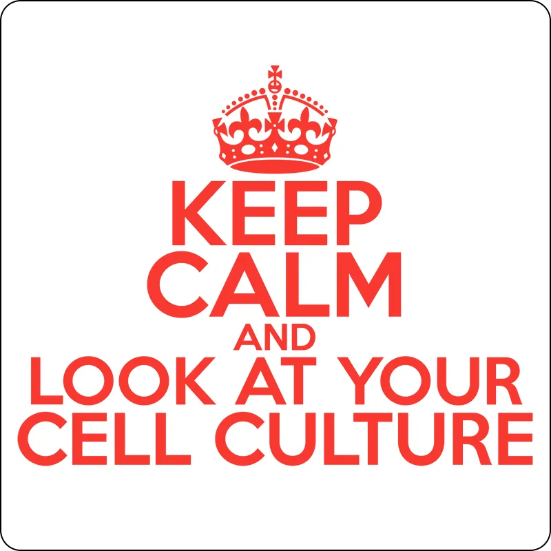 "Keep Calm and Look At Your Cell Culture" (red) - Men's T-Shirt